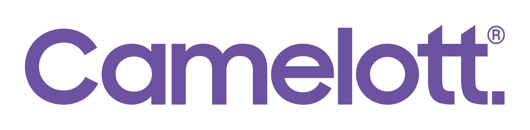 Camelott Digital Solutions logo